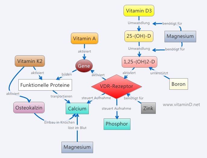 Vitamin D combinations