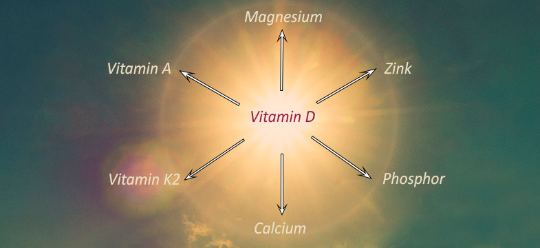 Vitamin D: Wichtige Nährstoffkombinationen