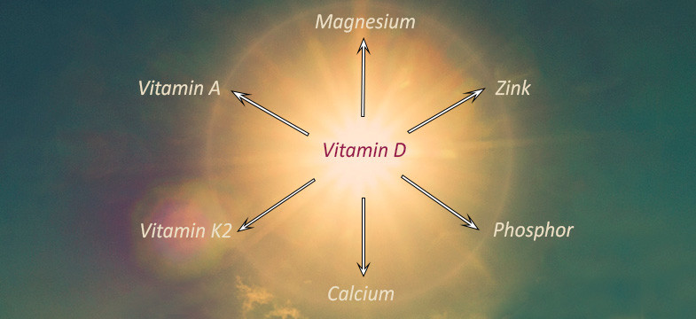 Vitamin D Wichtige Nährstoffkombinationen Dr Schweikart