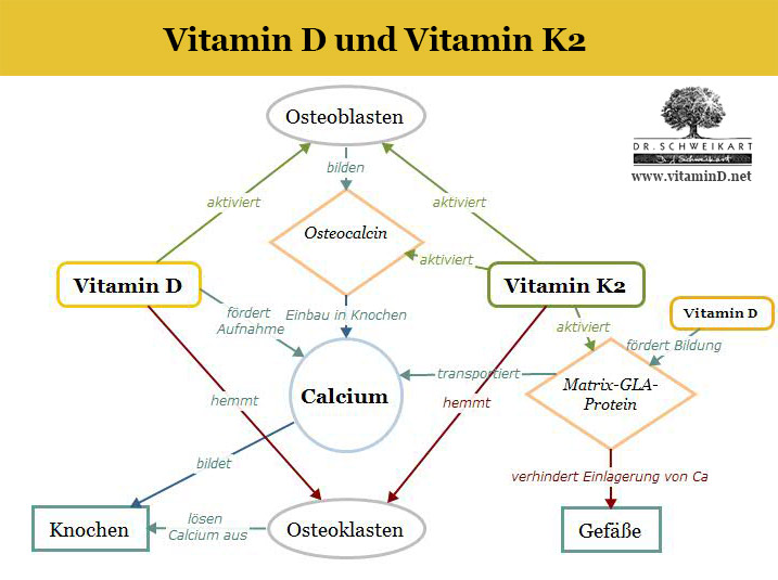 VitaminD-k.jpg