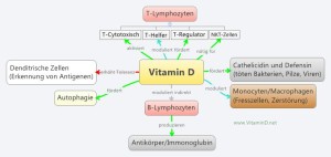 Vitamin D und seine Rolle im Immunsystem