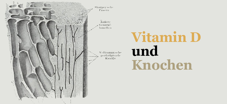 Vitamin D und Knochen