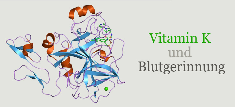 Vitamin K2, Blutgerinnung und Blutverdünner